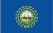 New Hampshire State Flag